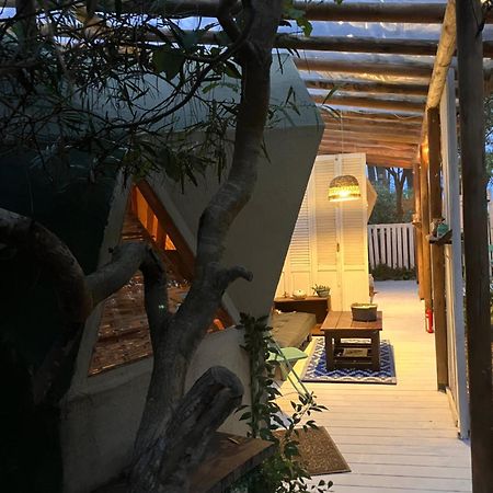 Domosdemar A 100 Mts Del Mar Hotel Ocean Park Eksteriør billede