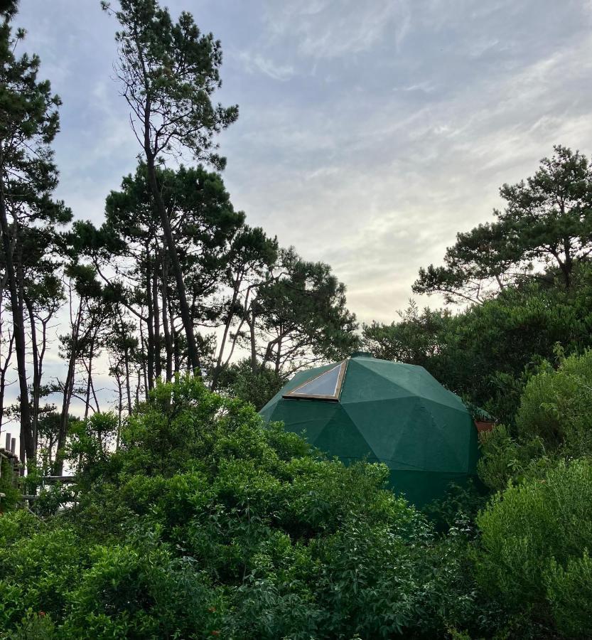 Domosdemar A 100 Mts Del Mar Hotel Ocean Park Eksteriør billede