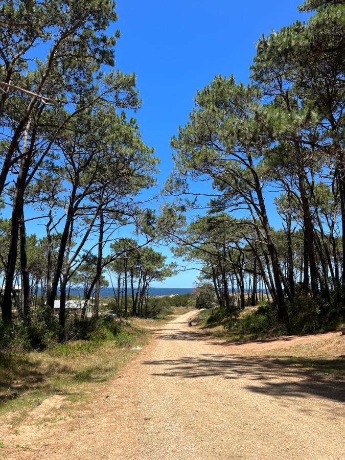 Domosdemar A 100 Mts Del Mar Hotel Ocean Park Eksteriør billede